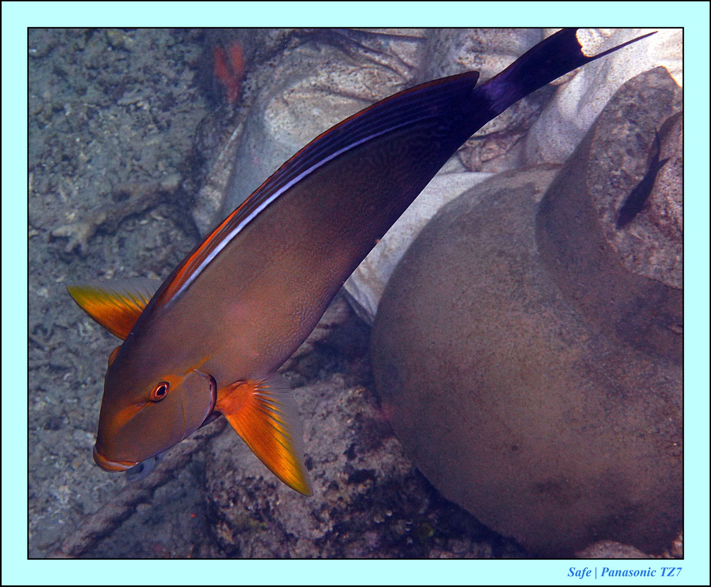 2012 - 07 - Gili - 72